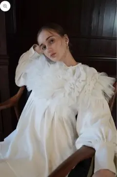 acka 3d rose puff tops グレー ブラウス 正規品 即日発送 - メルカリ