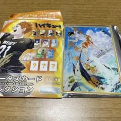 ハイキュー!! ステータスカードコレクション シークレット - メルカリ