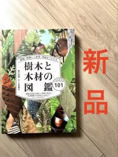 Item thumbnail for item 36b7bd9e-238f-4f8c-b63b-fbdd1398cada