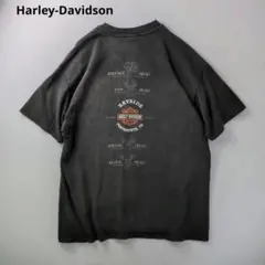 90s HARLEY-DAVIDSON エンジン ポケット T XL 542