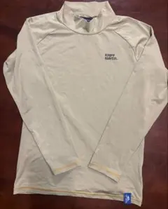 Item thumbnail for item ece4390a-db34-49d4-a7a1-04aeb5b56033