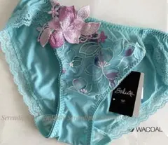サルート 36G ヴィーナス TUのサムネイル