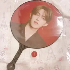 SEVENTEEN セブチ　エスクプス　うちわ　POWER OF LOVE