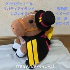 クロワデュノール　リバティアイランド　M　勝負服　馬着　レガレイラ　ドゥラメンテ