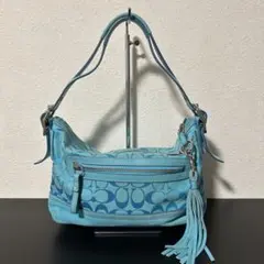 Coach Signature Blue One Shoulder Bag