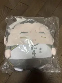 ハイキュー くじメイト ぬいくじ2 B賞ふわコロりんBIG 黒尾鉄朗 D賞