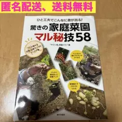 Item thumbnail for item 1144a430-7276-4476-945d-9a2c7be6ecf0