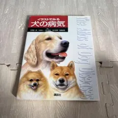 Item thumbnail for item 7f075f79-04d2-42e6-b3df-0095f1ff1009