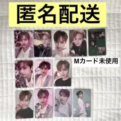 seventeen always yours トレカ ジュン jun コンプ