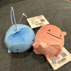 じんべえさん　じんべえさんとさめさん めんだこ メンダコ