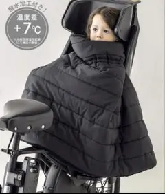 Item thumbnail for item 6c20e59a-c772-4547-abdf-6bfea221a80c