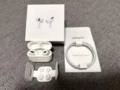 AirPods Pro 第1世代【左耳ノイズあり】