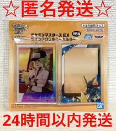 ポケモンマスターズ EX　ツインアクリルキーホルダー　N＆ゼクロム