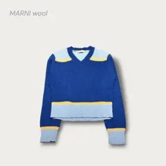 MARNI ワッフルニット 短丈 デザイナーズ UNIQLO y2k 美品 Lのサムネイル