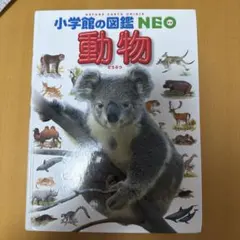 Item thumbnail for item 7e81cb63-9038-47e7-96e8-1ba0149cf59e