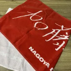 名古屋ダイヤモンドドルフィンズ　ドルくじ　選手直筆ネームタオル　#3 加藤嵩都