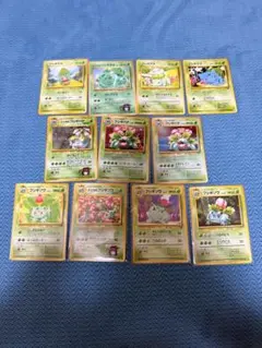 旧裏 ポケモンカードゲーム フシギダネ セット