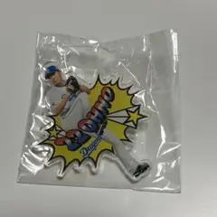 中日ドラゴンズ ドラゴンズストアガチャ PLAYERアクリルピンズ 大野雄大