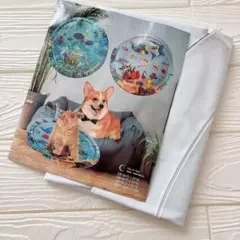 Item thumbnail for item 65495499-9306-4e8a-af52-1eb6afa25c2e