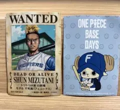 SHUN MIZUTANI WANTED & ONE PIECE チョッパー