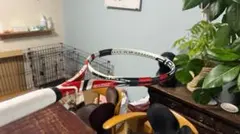 Item thumbnail for item ae32c35a-8522-4bdf-a862-c44ebcf57bc7