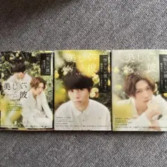 美しい彼 3巻セット