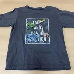 GLOBAL WORK 恐竜プリント Tシャツ 120