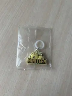 MINITEEN ぷっくりめじるしアクセサリー ホシ