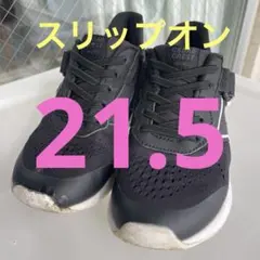 Item thumbnail for item ba312ebc-6a0e-4742-bac6-90022f615670