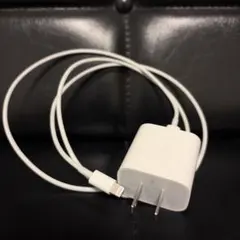 Apple iPhone 充電器 Lightningケーブルセット