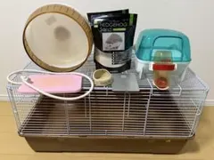 Item thumbnail for item 4e400271-03b8-44ec-bbd7-24e4c0dc6f38