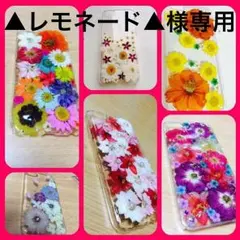 ▲レモネード▲様専用