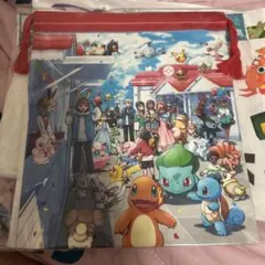 ポケパークカントーPoKePARK KANTO 限定　ポケモン巾着