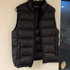 ダウンベスト100