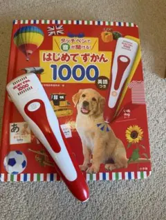 【AYM...Mさま専用】はじめてずかん1000