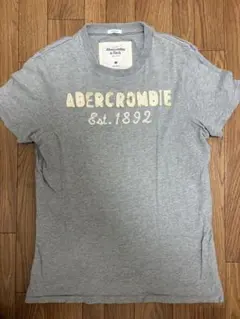 Abercrombie & Fitch Tシャツ Mサイズ グレー