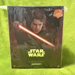 スターウォーズ アナキン／ダース・ベイダーシスの弟子 アーティザン ムービー・マスターピース DX アルチザン】『スター・ウォーズ
