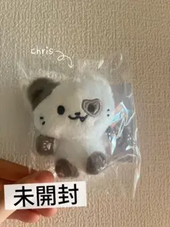 ITZY BABY TWINZY SITTING BAG CHARM リュジン - メルカリ