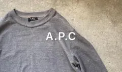 【新宿高島屋A.P.C.にて購入】 クルーネック / スウェット/ M