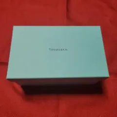 Tiffany & Co. ペアグラス 신품 미사용
