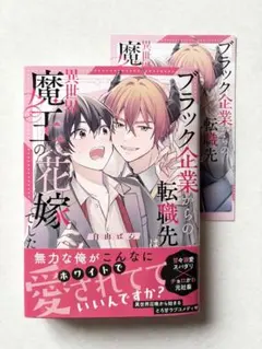 くりりん様 リクエスト 2点 まとめ商品