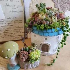❤️専用❤️多肉植物❤️そのまま飾れる寄せ植え❤️ハートうさぎ