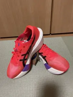 【新品未使用】METASPEED SKY TOKYO 26.5cm