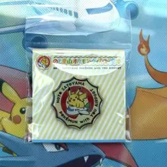 大幅値下げ】ポケモン ピカブイ カントー地方マップB1ポスター - メルカリ