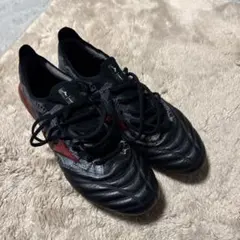 2025年最新】モレリアネオ3 ラモスの人気アイテム - メルカリ