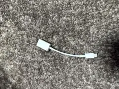 Apple純正USB-A to USB-C 変換コネクタ送料無料