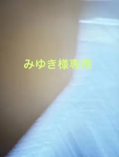 Item thumbnail for item 63c604b3-9d0f-4bd5-bc26-0c069534e5e5