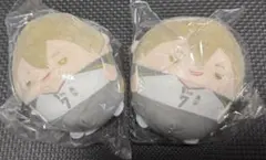 ハイキュー！！ くじメイト ふわコロりん 木葉秋紀2点セット