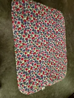 Item thumbnail for item 8e492315-75c6-47ca-b463-e0af23798cfe