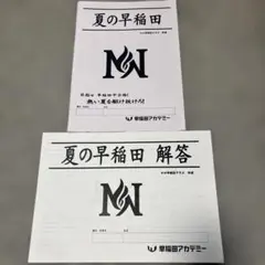 早稲田アカデミー NN桜蔭セット　2026最新 2026年最新】早稲田アカデミー nnの人気アイテム - メルカリ